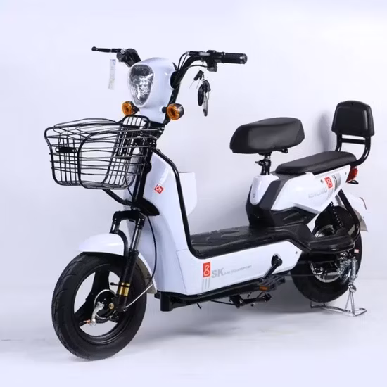 大人用電動自転車販売中国工場